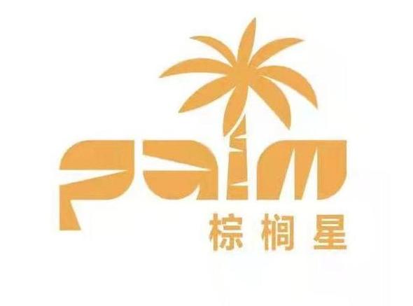 科技赋能童心 上海棕榈星健康科技如何革新儿童自闭症干预与家庭咨询